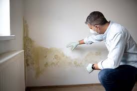 Best Mold Removal for HVAC Installations  in Pflugerville, TX